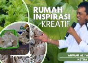 Pelatihan Budidaya Jamur Tiram Binaan RIK di Desa Selaselilau, Buahkan Hasil