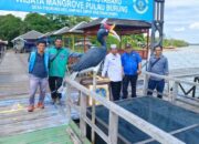 Dua Desa ini Bakal Nikmati Listrik Normal