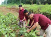 Bentuk Dukungan Program Ketahanan Pangan Nasional, Kalapas Tinjau Perkebunan SAE