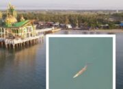 Kades Sungai Lembu Ingatkan Kemunculan Buaya di Sekitar Masjid Apung Siring Pagatan