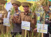 Dukung Petani Padi, Ratusan Alat hingga Sarana Prasarana Diberikan Untuk Tingkatkan Hasil Produksi